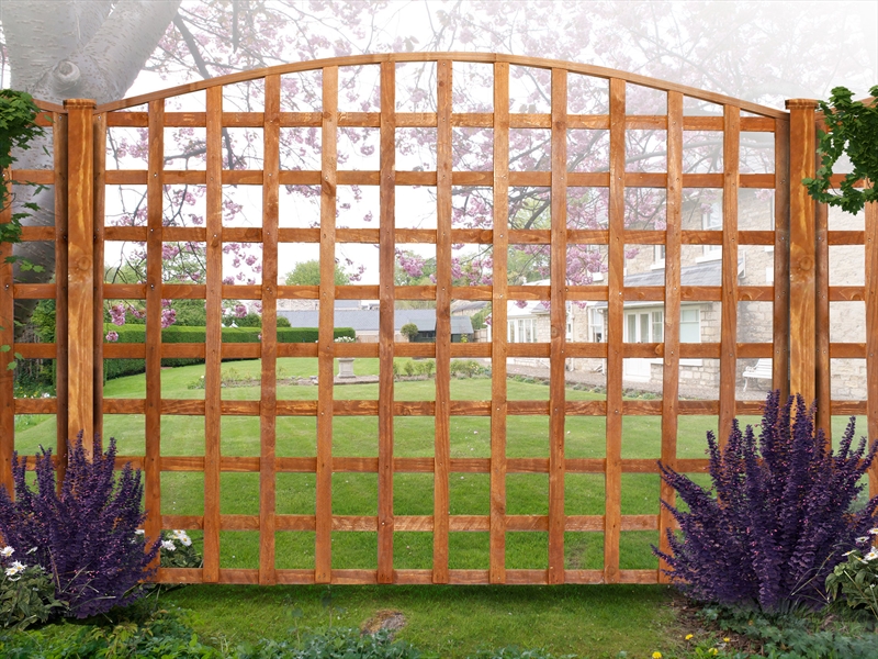 First slide for pid 2106