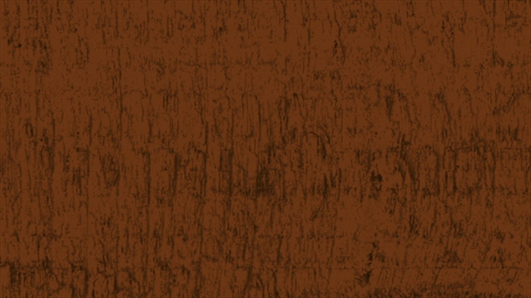 Second slide for pid 21206