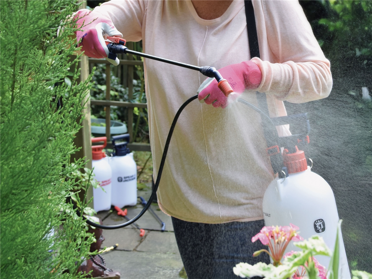 Second slide for pid 21261