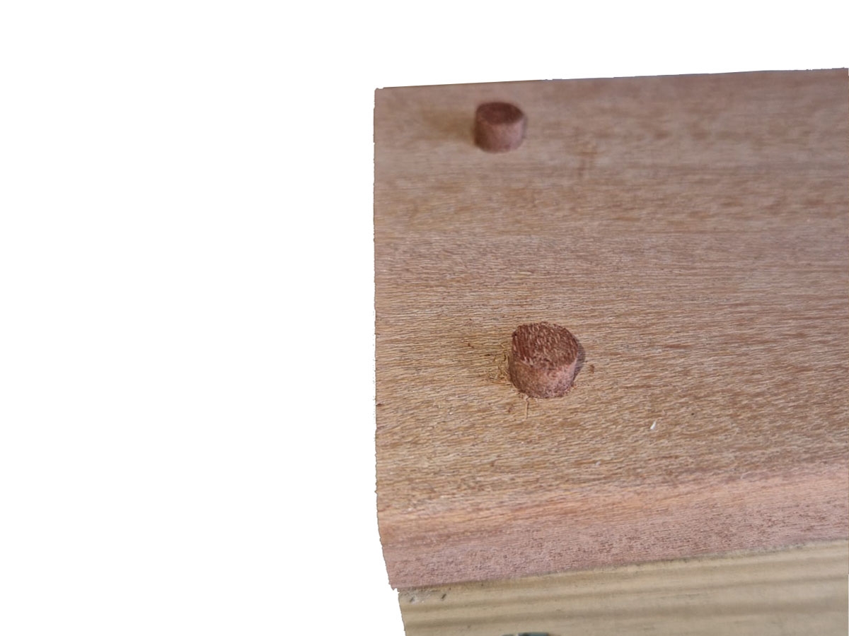 Third slide for pid 25115