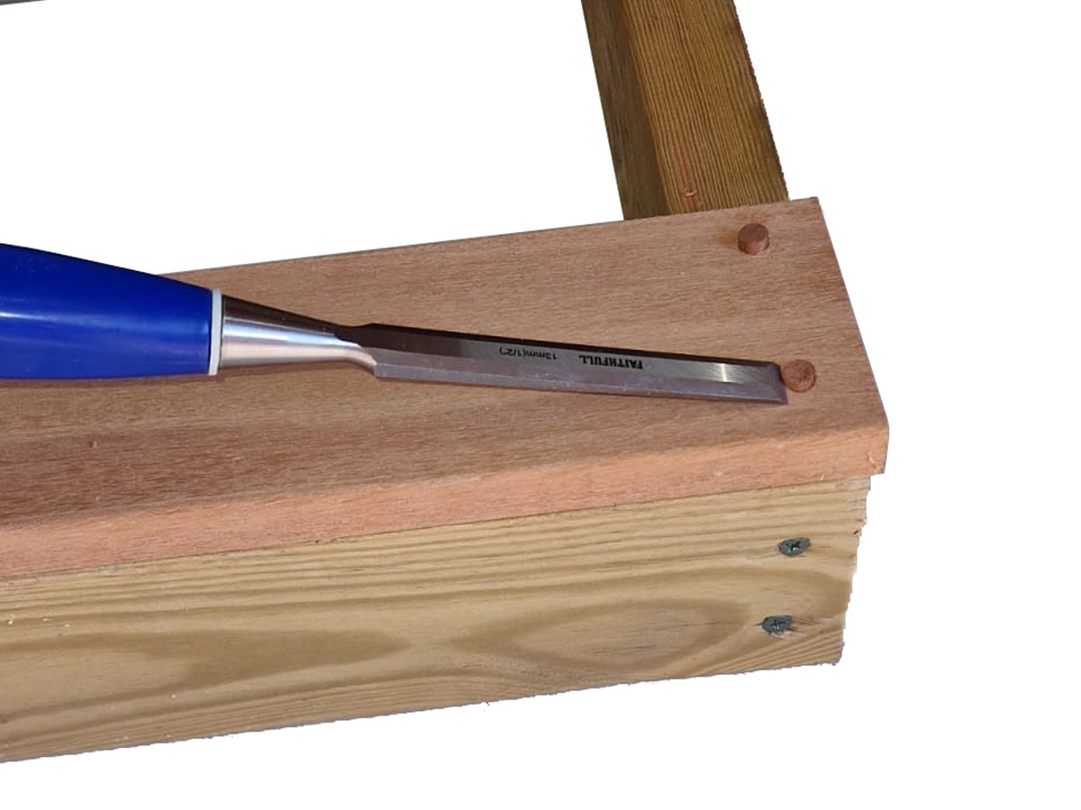 Fourth slide for pid 25116