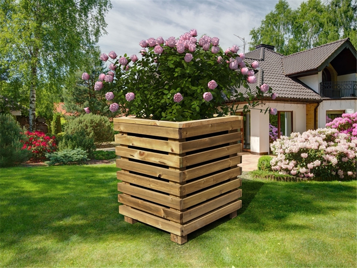 First slide for pid 25468