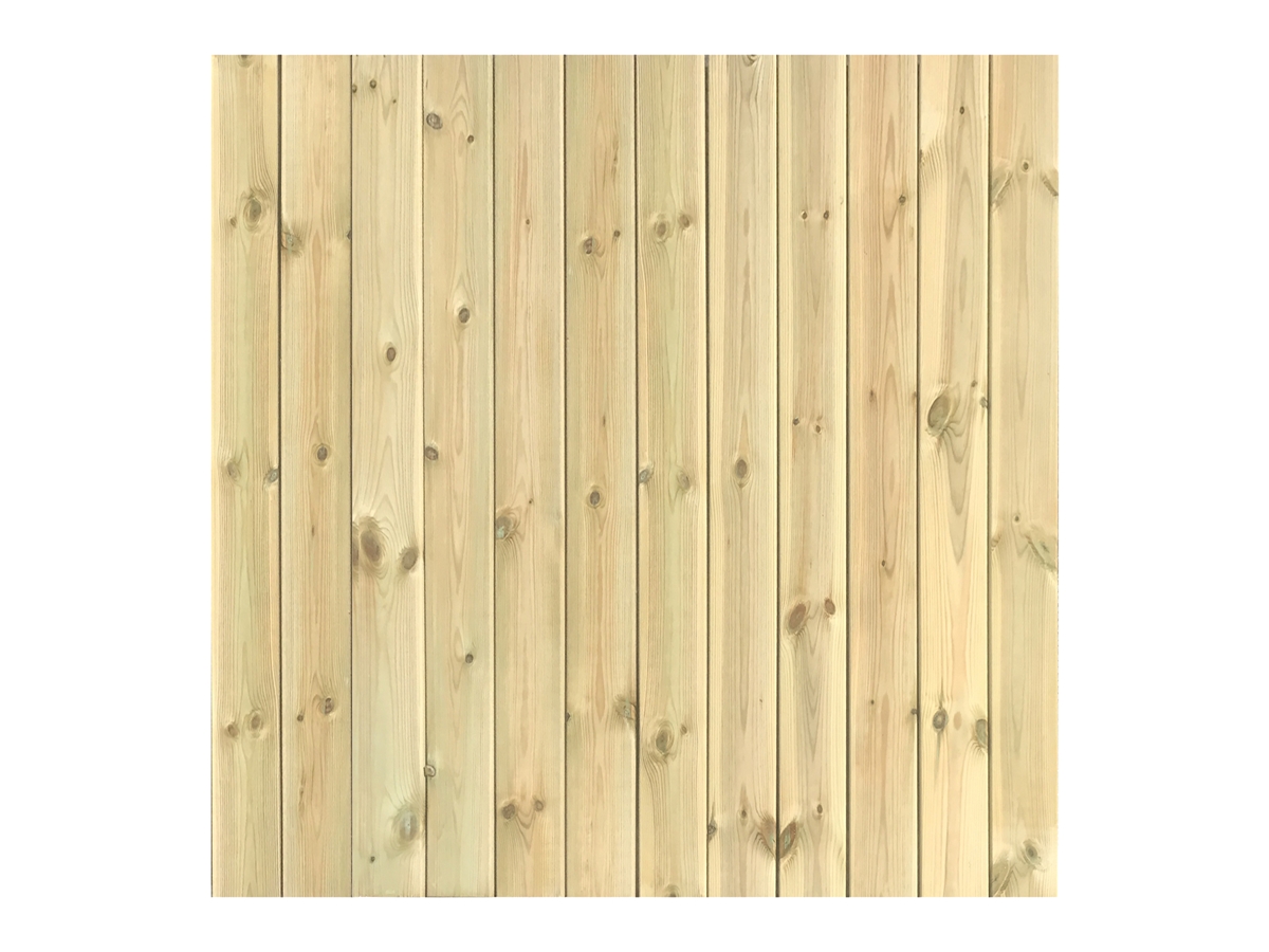 First slide for pid 27155