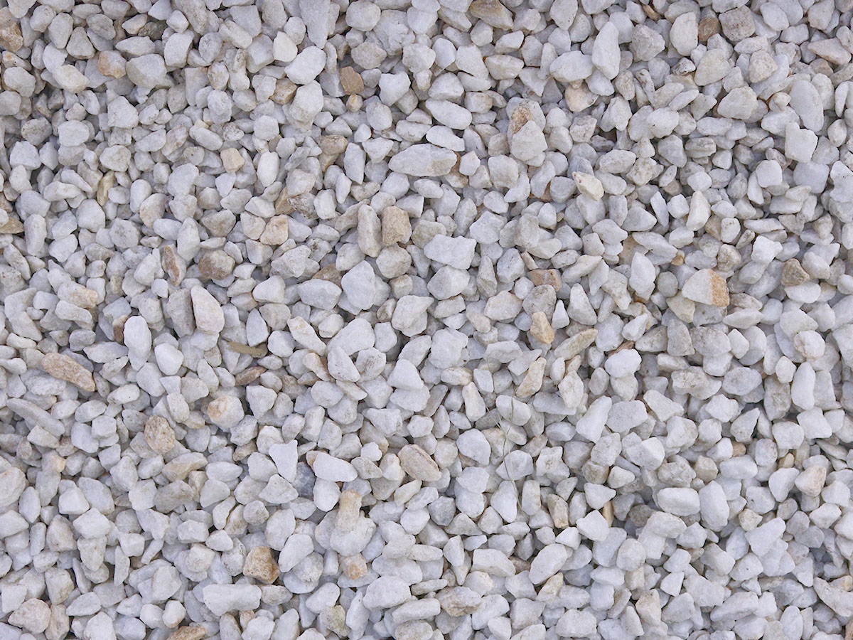 First slide for pid 28137