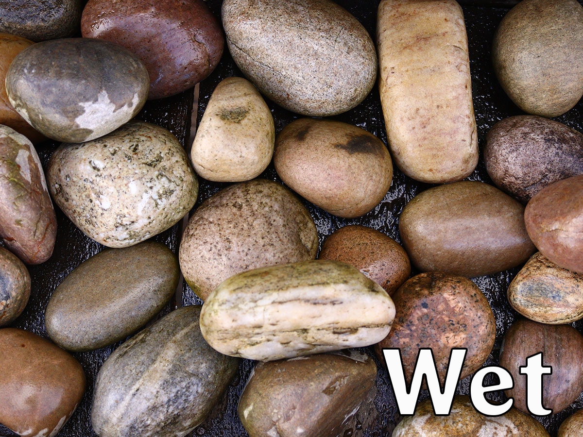 Second slide for pid 28169