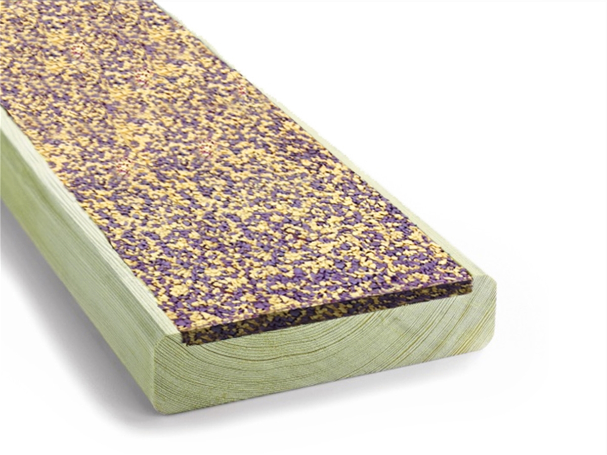 First slide for pid 2829