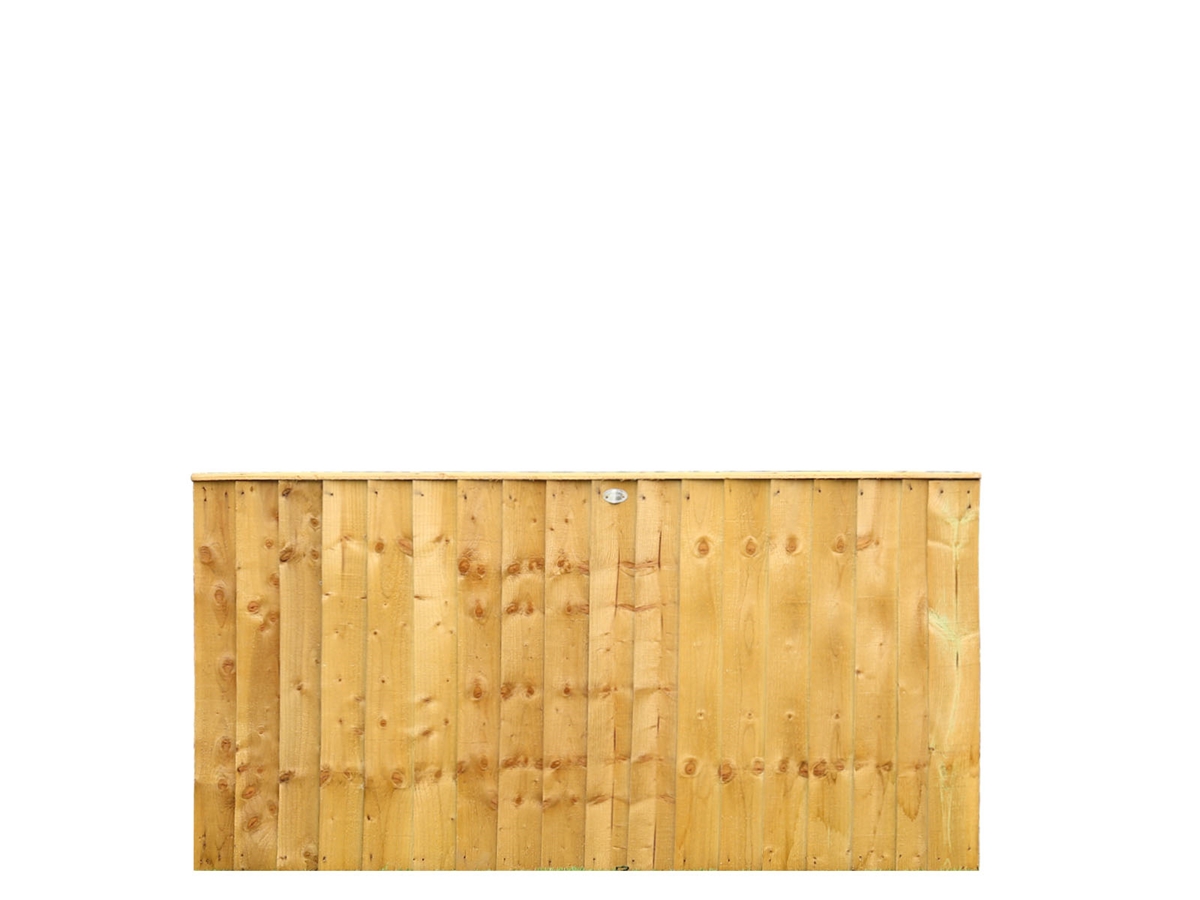 First slide for pid 2915