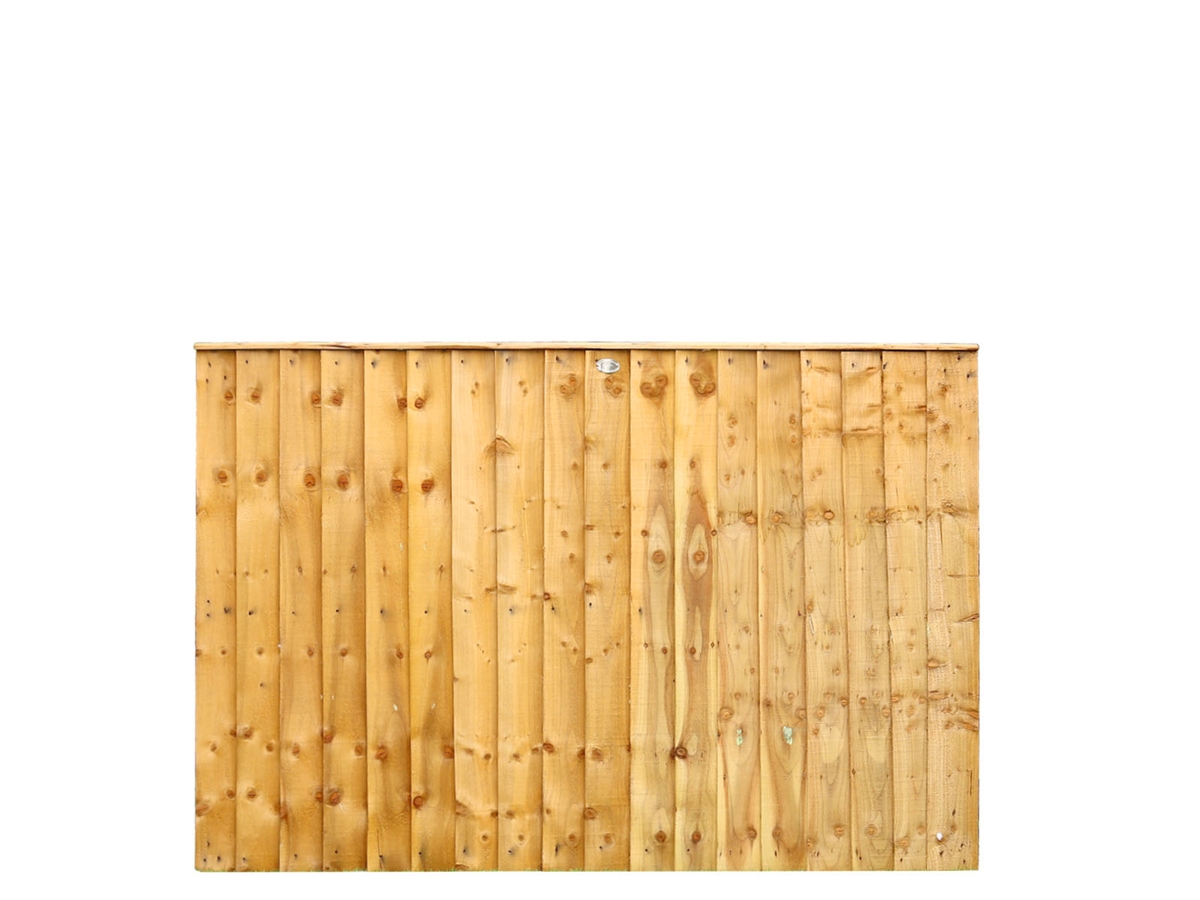 First slide for pid 2916