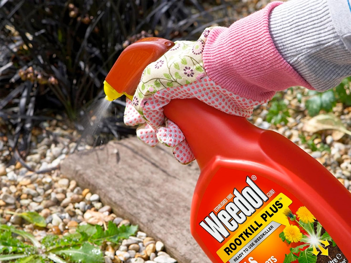 Second slide for pid 2943