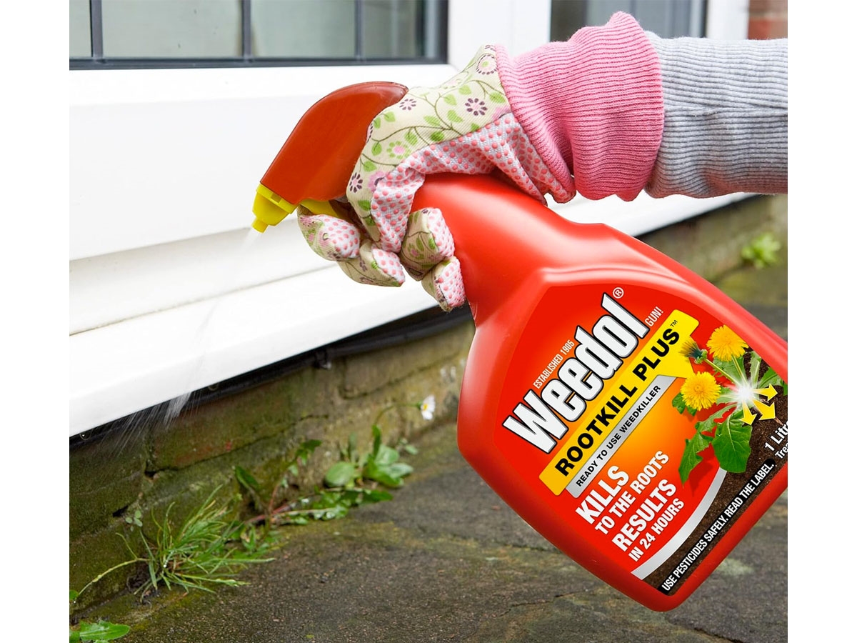 Third slide for pid 2943