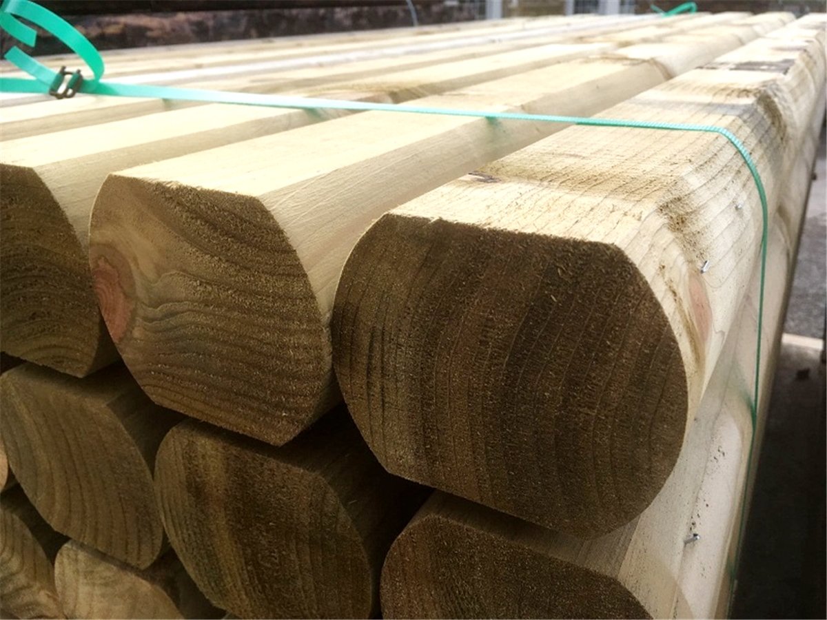 Second slide for pid 2955