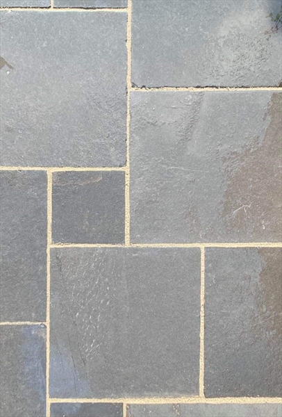 Second slide for pid 31307