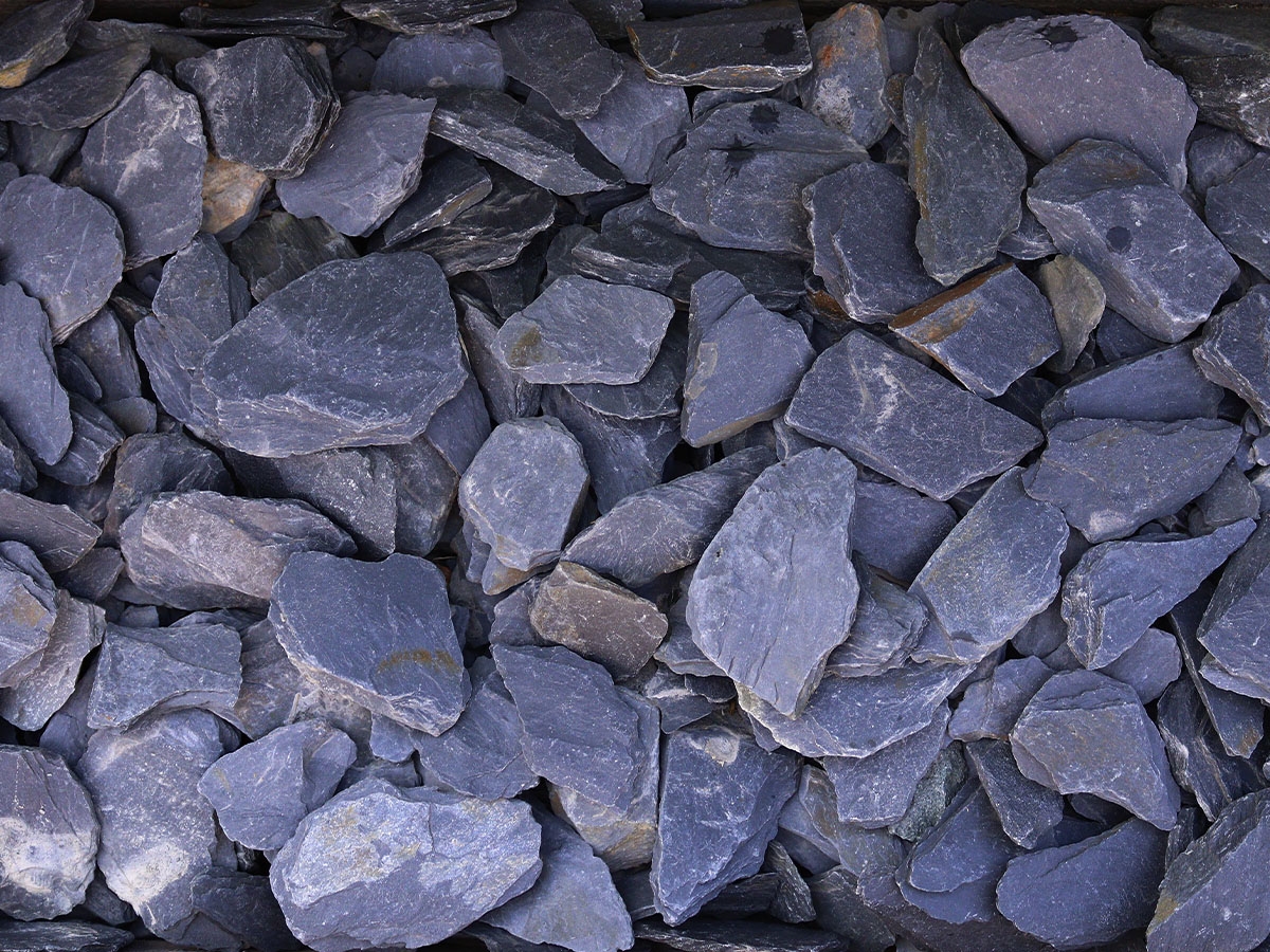 First slide for pid 31597