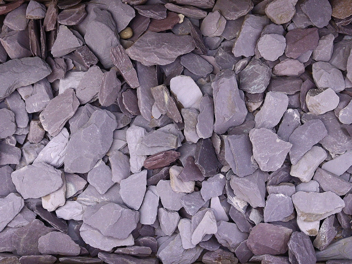 First slide for pid 31670