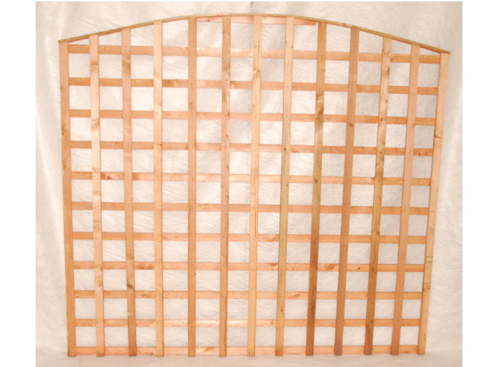 Second slide for pid 3381