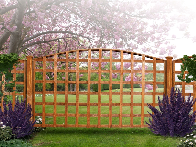 First slide for pid 3382