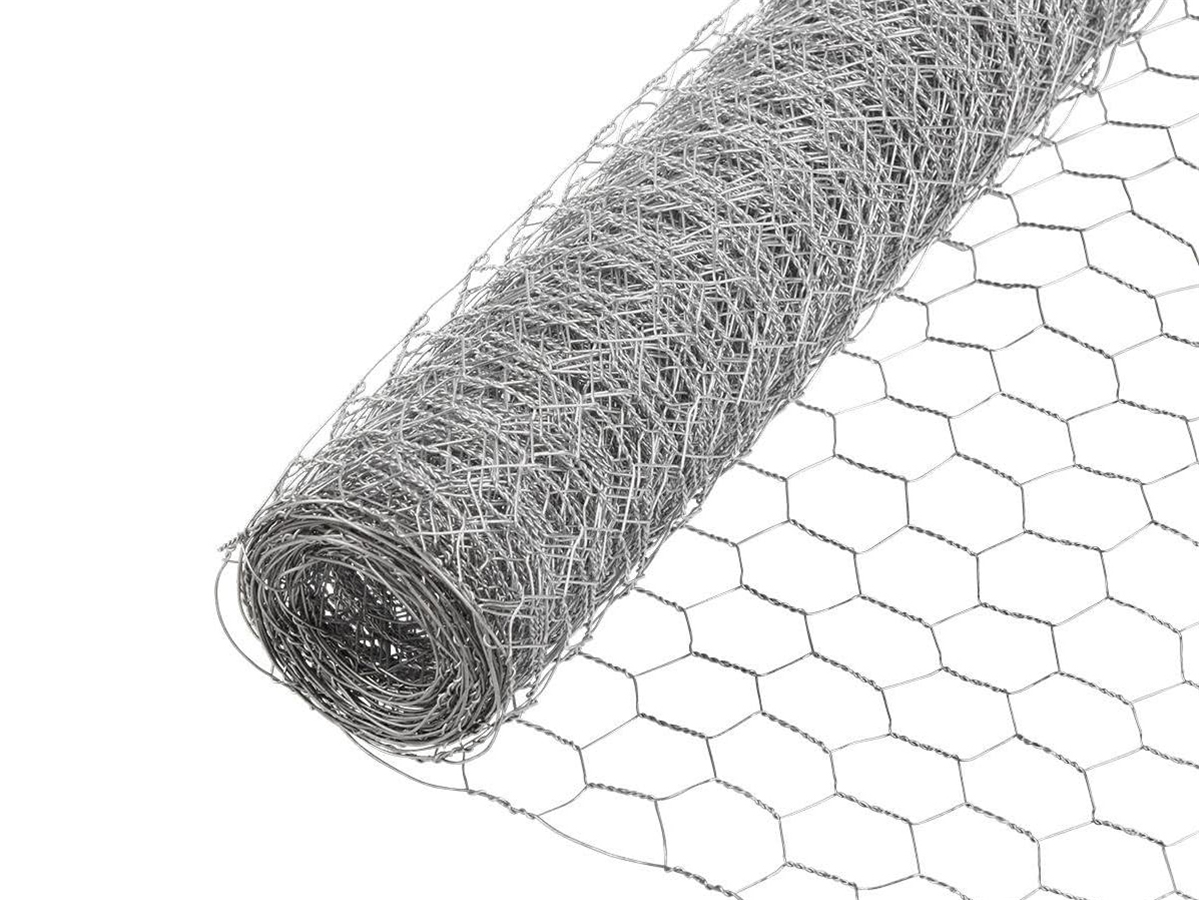 First slide for pid 33957