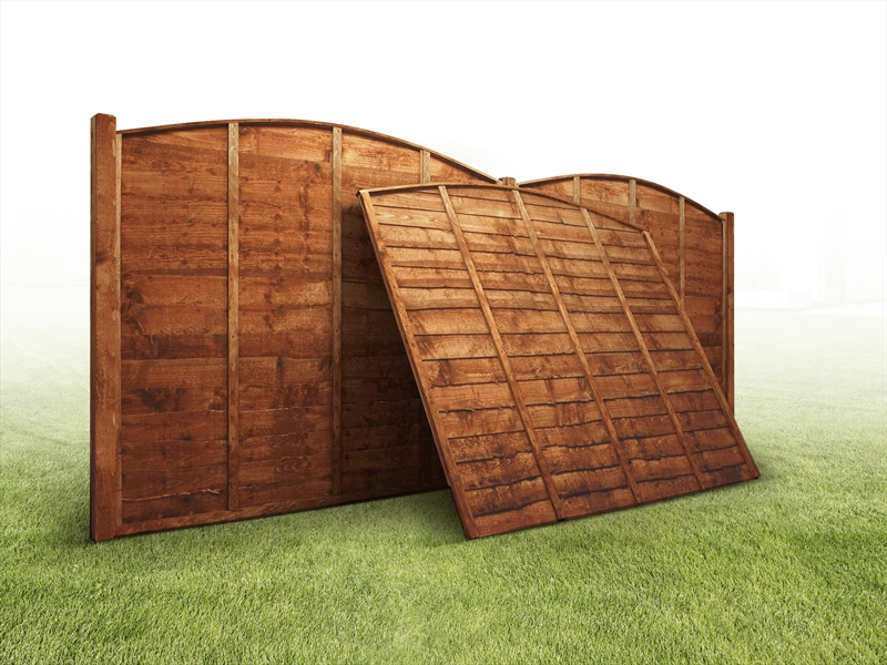 First slide for pid 3531