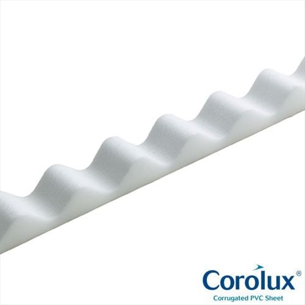 First slide for pid 3933