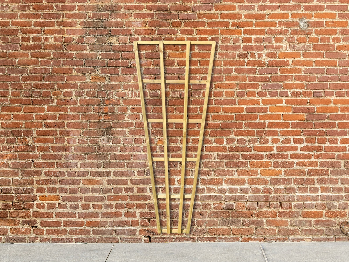 First slide for pid 41285