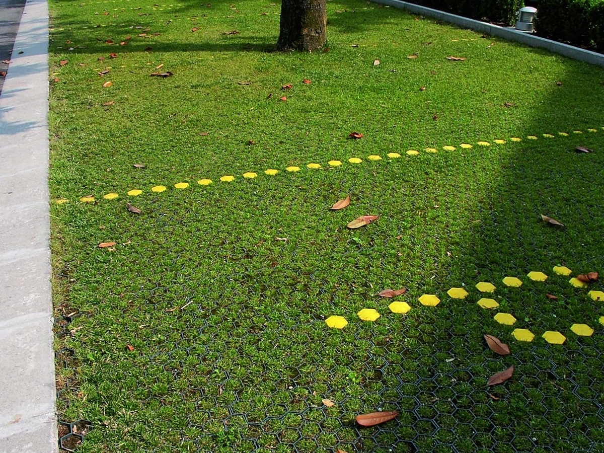 Third slide for pid 41769