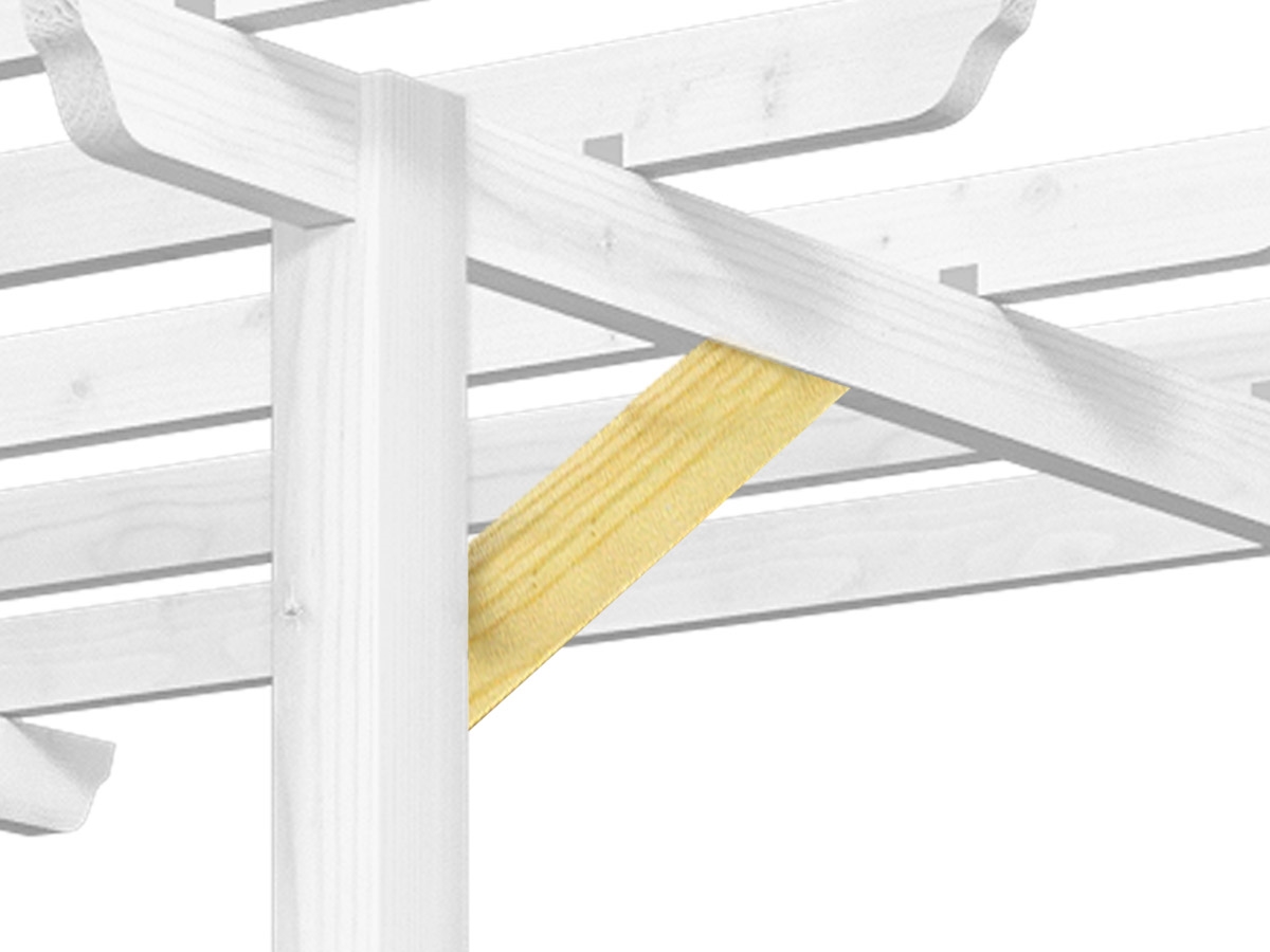 First slide for pid 45039