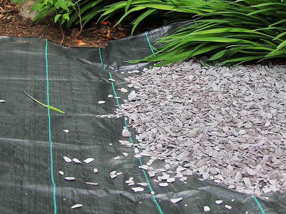 First slide for pid 45464