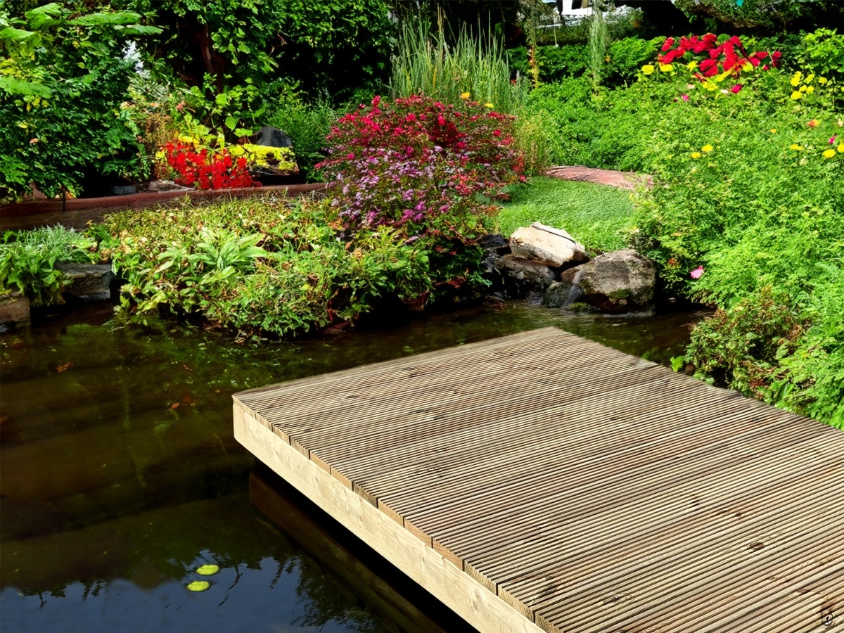 First slide for pid 45707