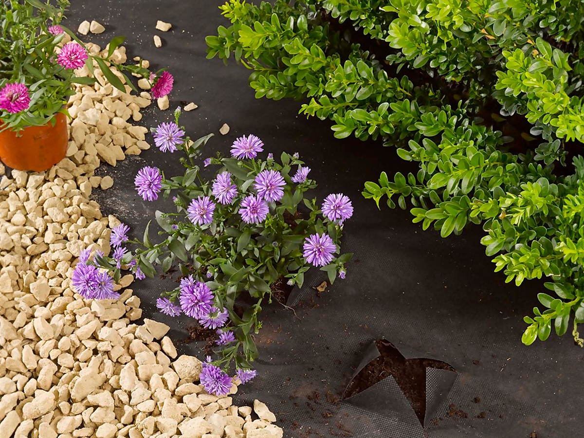 Second slide for pid 46133