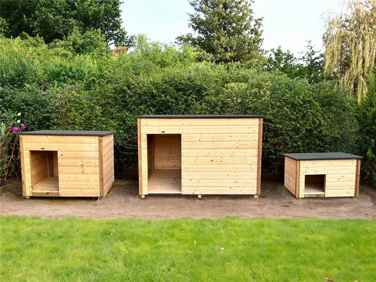 Fifth slide for pid 46352