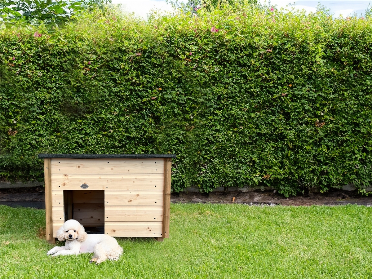 First slide for pid 47940