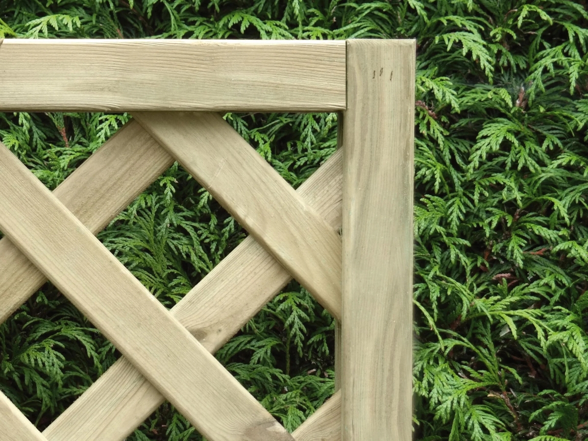 Second slide for pid 4915