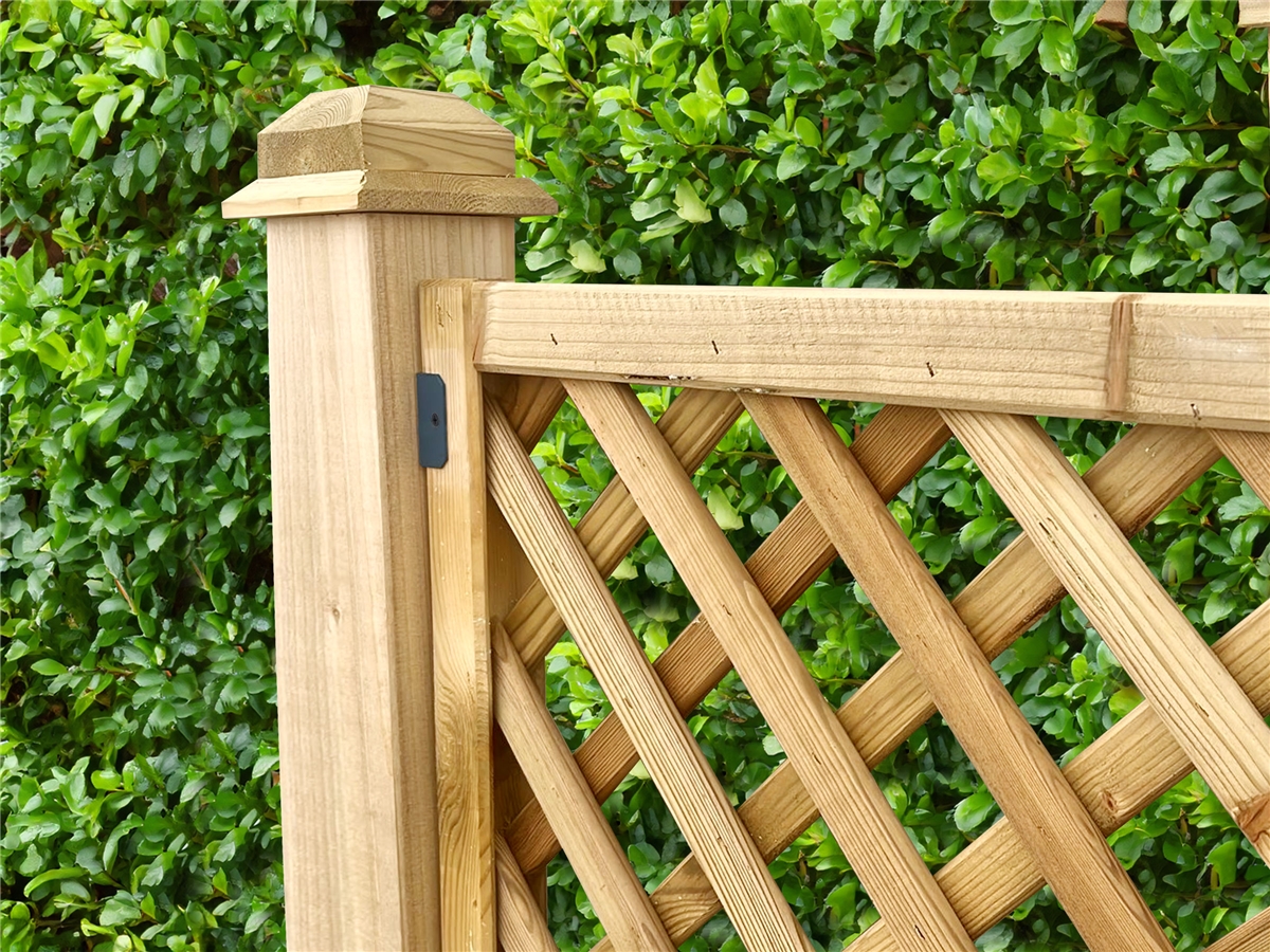 Second slide for pid 49262