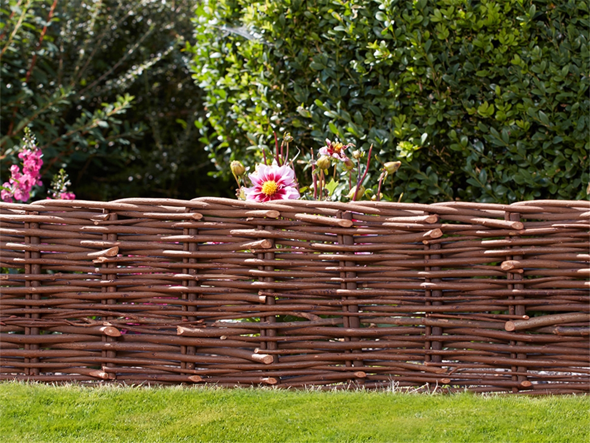 Second slide for pid 49514