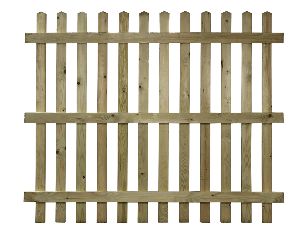 Second slide for pid 49806