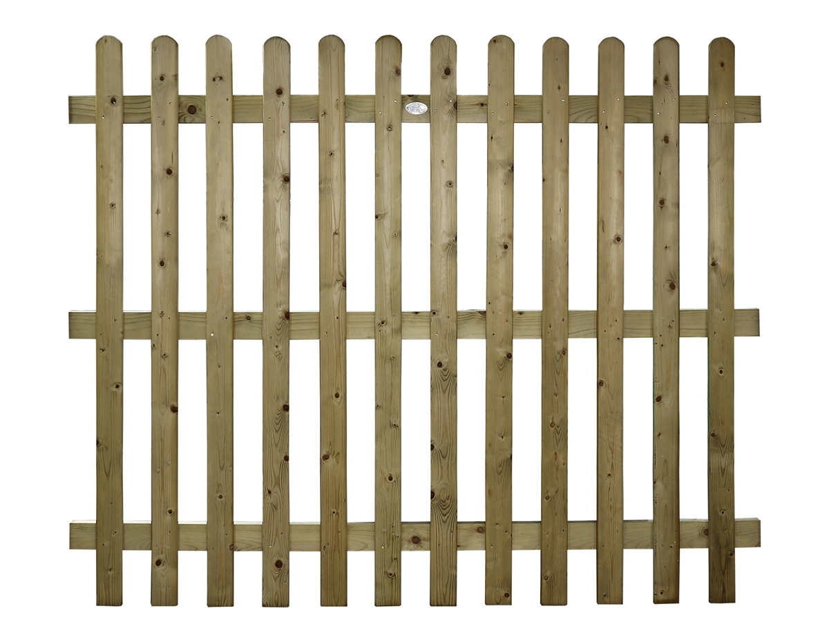 First slide for pid 49807