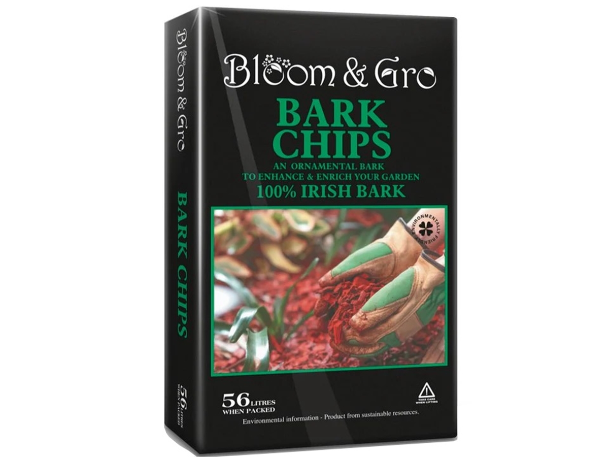 First slide for pid 50093