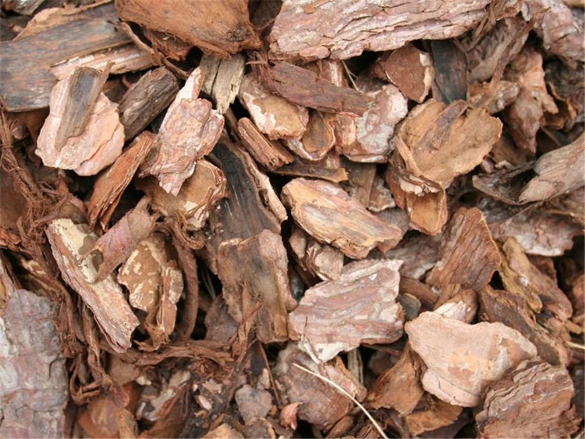 Second slide for pid 50093