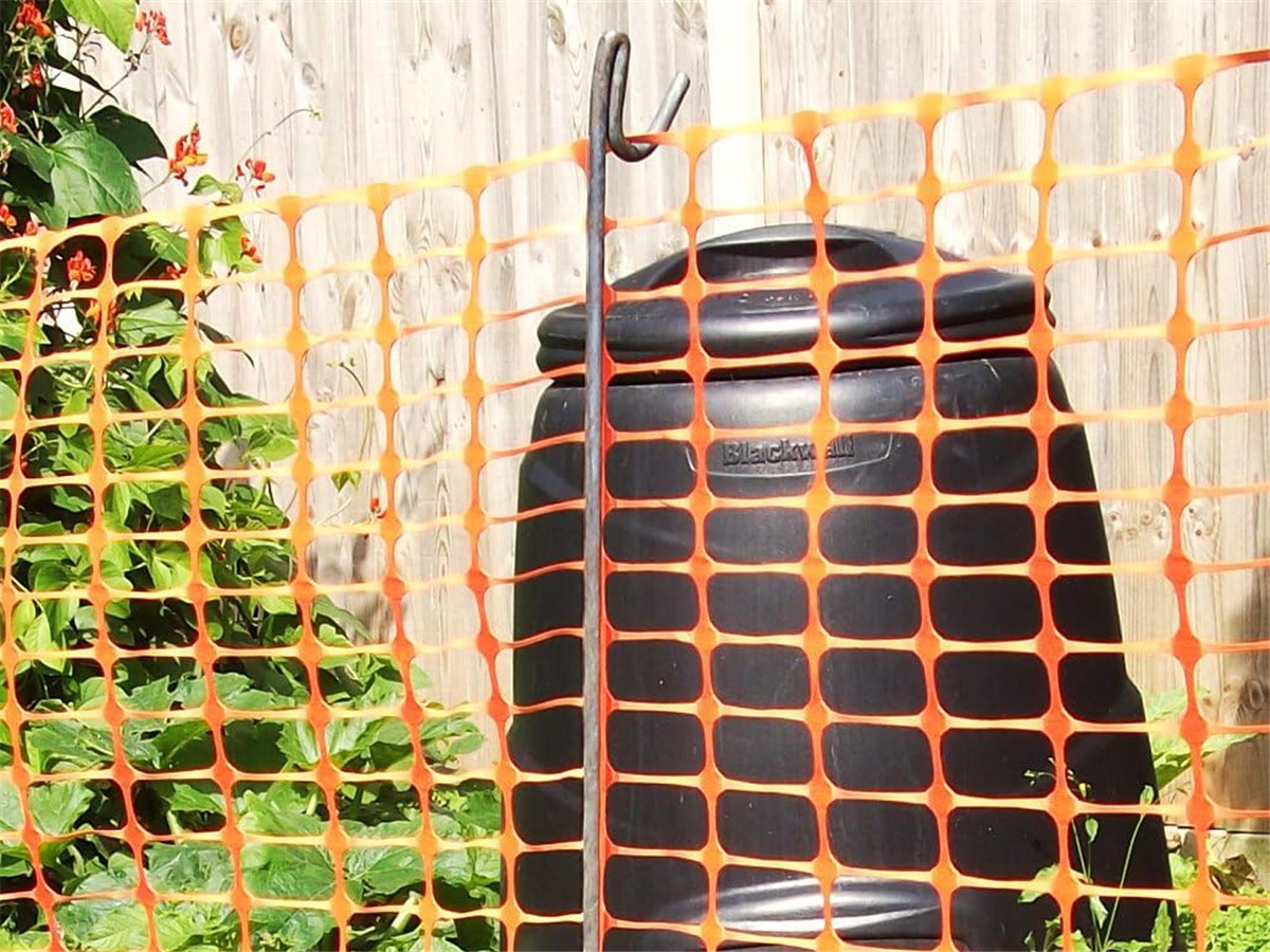 First slide for pid 50155