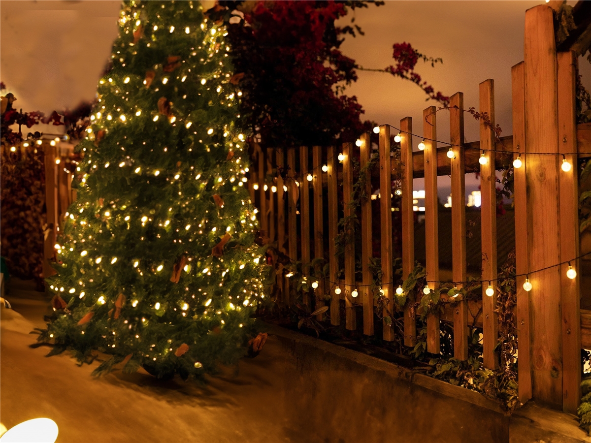 First slide for pid 50167