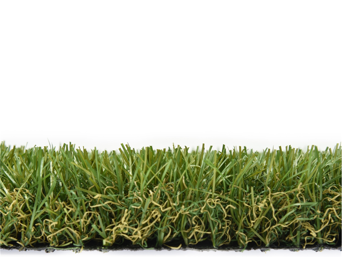 Fourth slide for pid 51123