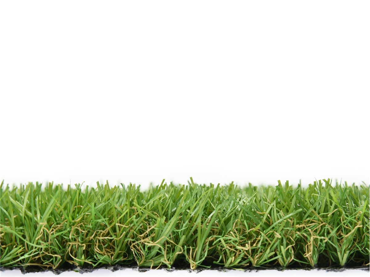 Fourth slide for pid 51126