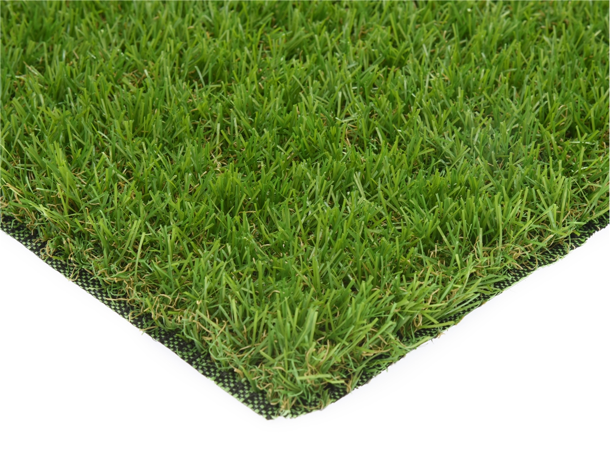 Third slide for pid 51129