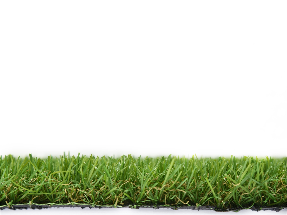 Fourth slide for pid 51129