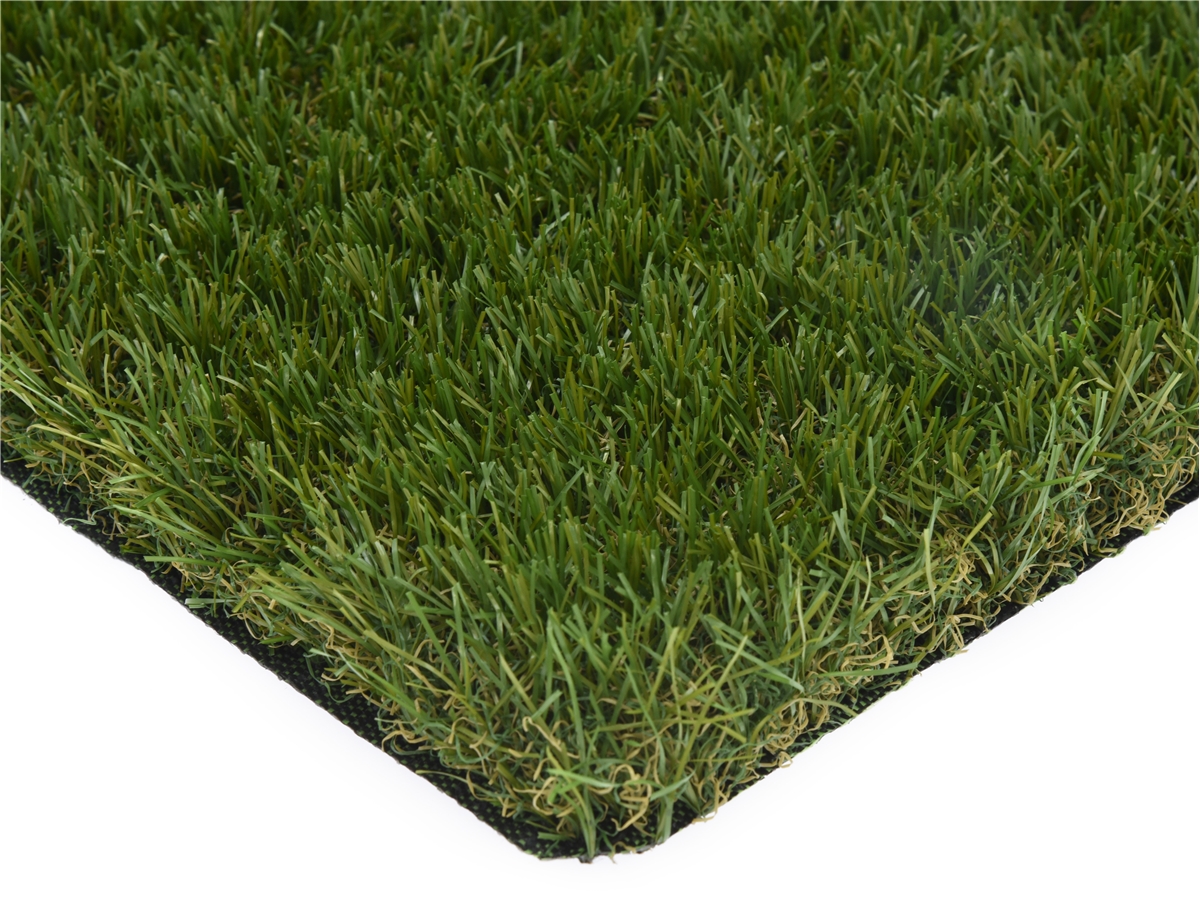 Third slide for pid 51131