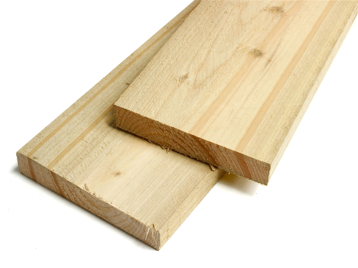 First slide for pid 515