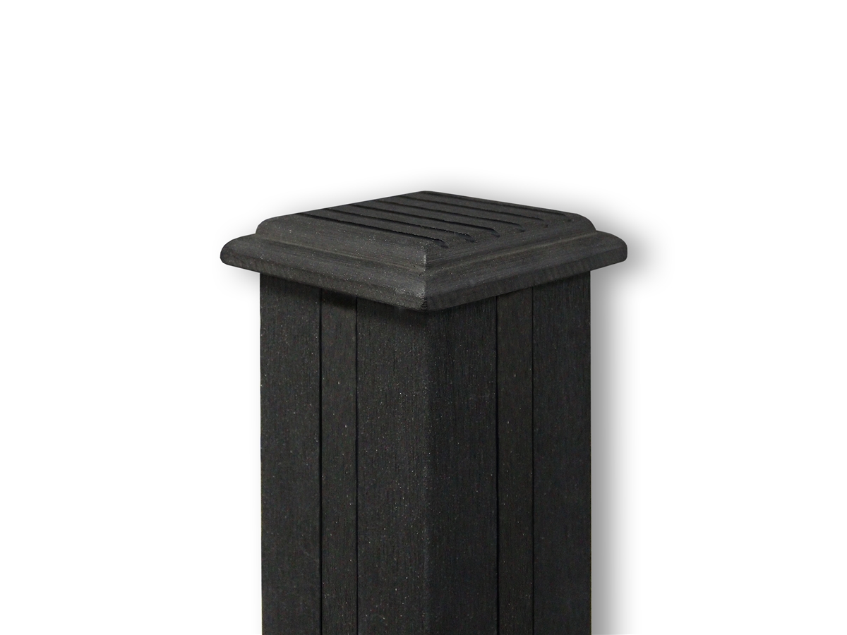 First slide for pid 51808