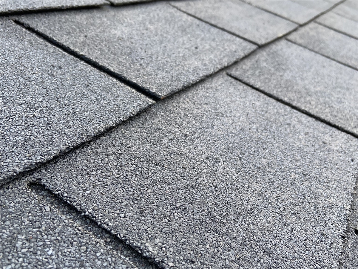 Fourth slide for pid 52093