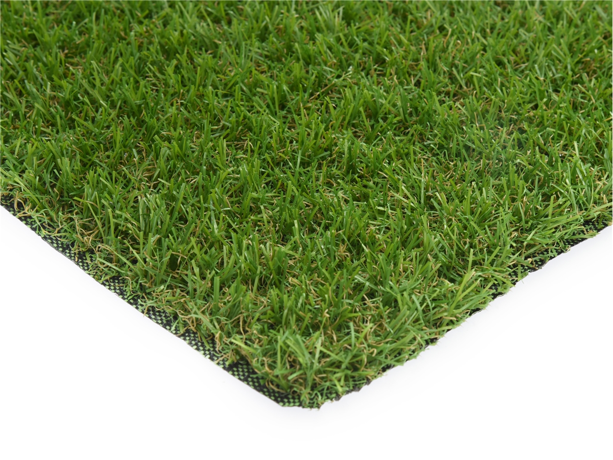 Third slide for pid 52778