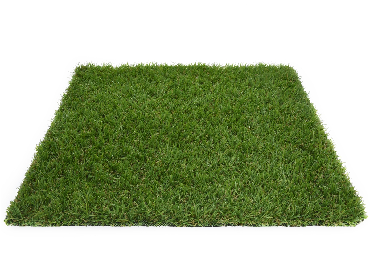 Second slide for pid 52781